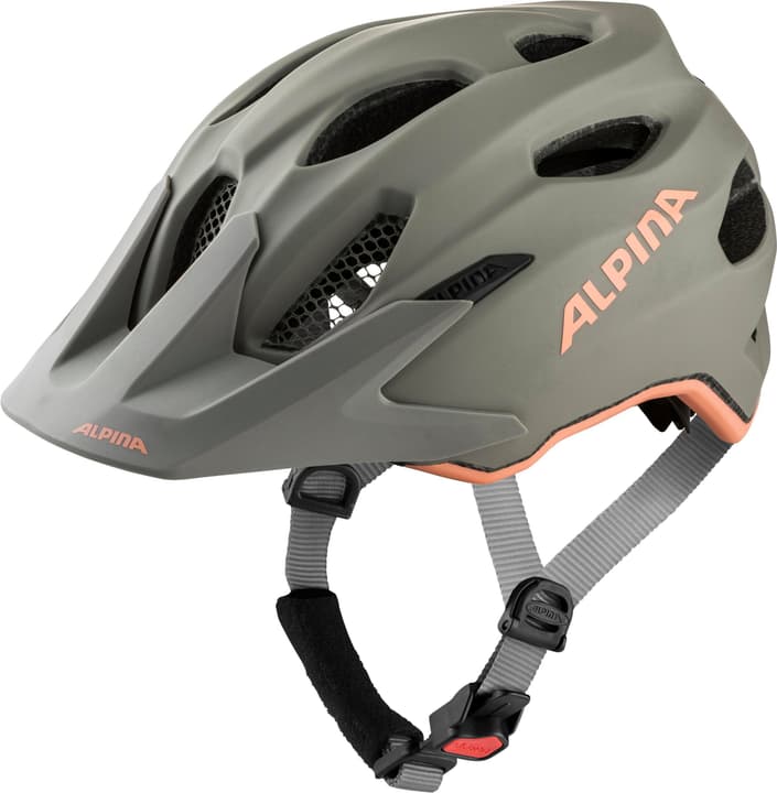 Alpina Carapax JR. Flash Velohelm grau von Alpina