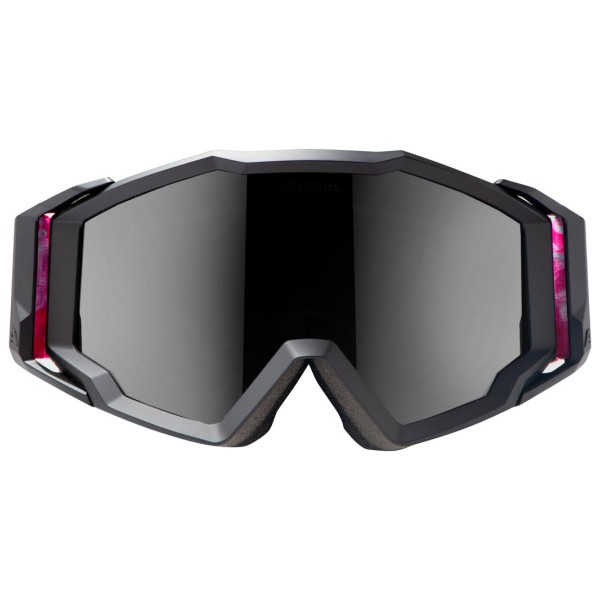 Alpina - Circus - Goggles grau von Alpina