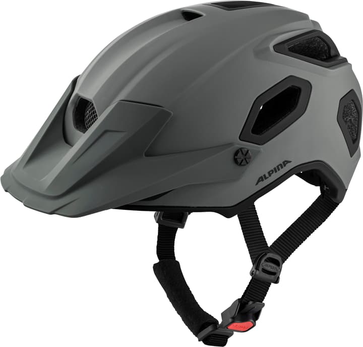 Alpina Croot Mips Velohelm grau von Alpina