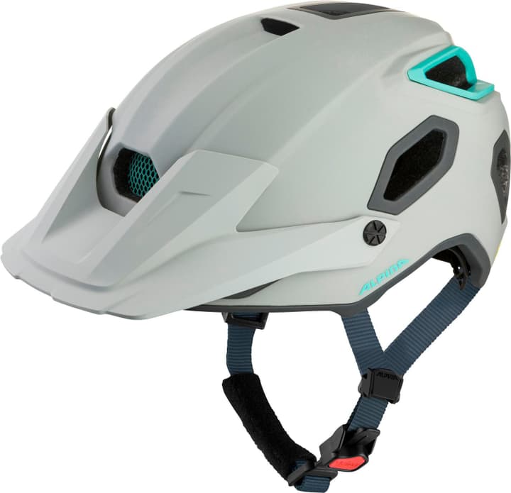 Alpina Croot Mips Velohelm hellgrau von Alpina