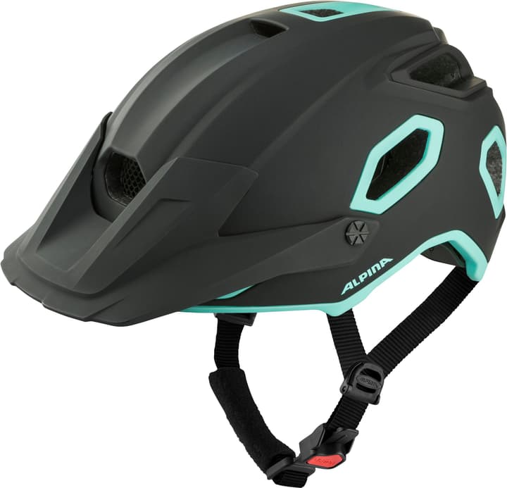 Alpina Croot Mips Velohelm kohle von Alpina