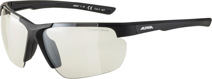 Alpina Defey HR Sportbrille kohle von Alpina