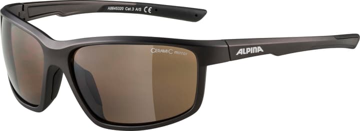 Alpina Defey Sportbrille kohle von Alpina