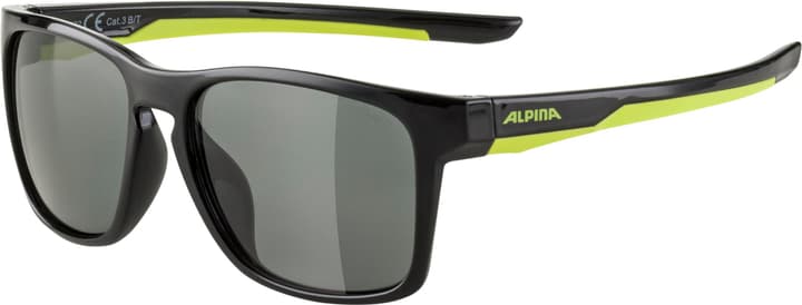 Alpina Flexxy Cool Kids I Sportbrille anthrazit von Alpina