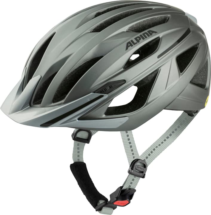 Alpina Gent Mips Velohelm silber von Alpina