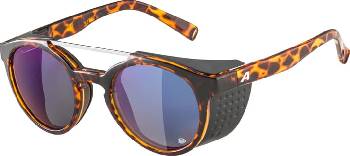 Alpina Glace P Sportbrille dunkelbraun von Alpina