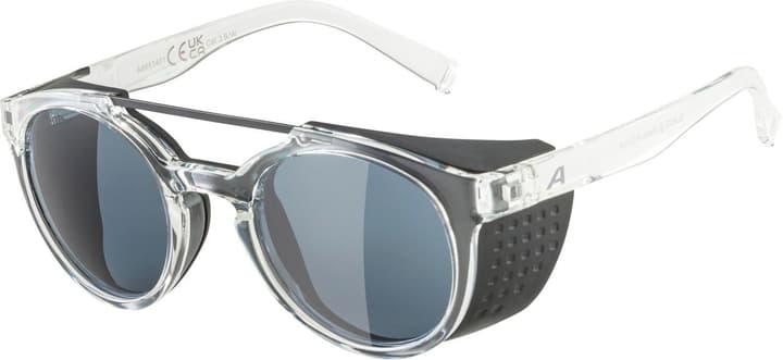 Alpina Glace Sportbrille dunkelgrau von Alpina