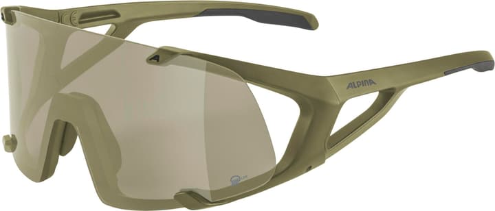 Alpina Hawkeye Q-Lite Sportbrille grün von Alpina