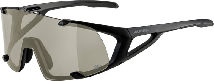 Alpina Hawkeye Q-Lite Sportbrille schwarz von Alpina