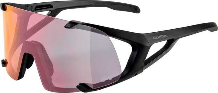 Alpina Hawkeye QV Sportbrille schwarz von Alpina