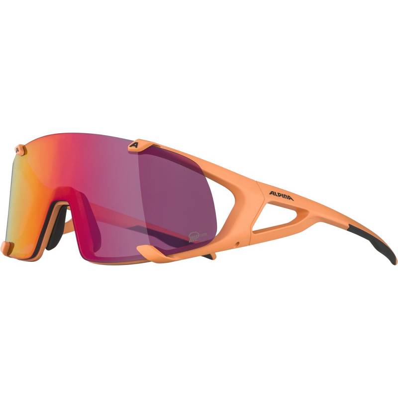 Alpina Hawkeye S Q-Lite Sportbrille von Alpina