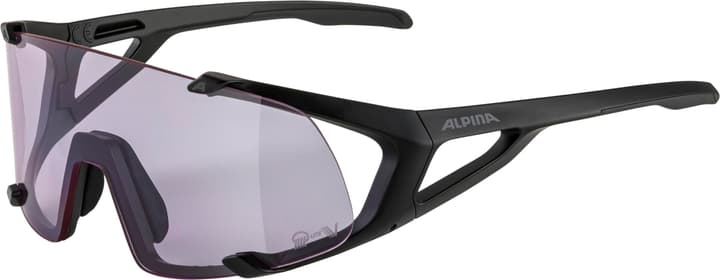 Alpina Hawkeye S Q-Lite V Sportbrille schwarz von Alpina
