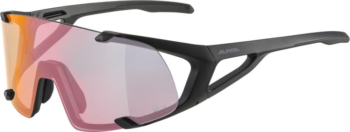 Alpina Hawkeye S QV Sportbrille schwarz von Alpina