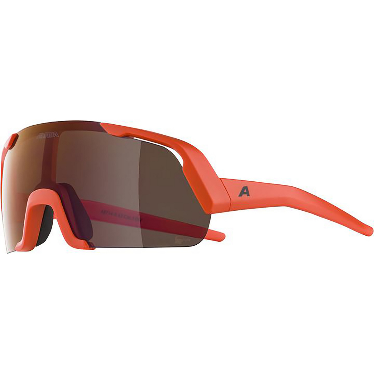 Alpina Kinder Rocket Youth Q-Lite Sportbrille Alpina Kinder Rocket Youth Q-Lite Sportbrille von Alpina