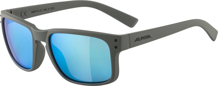 Alpina Kosmic Sportbrille grau von Alpina