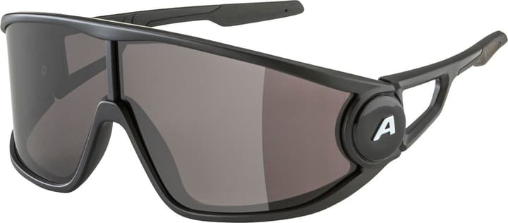 Alpina Legend Sportbrille schwarz von Alpina