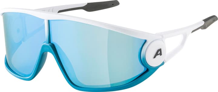 Alpina Legend Sportbrille weiss von Alpina