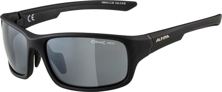 Alpina Lyron S Sportbrille anthrazit von Alpina