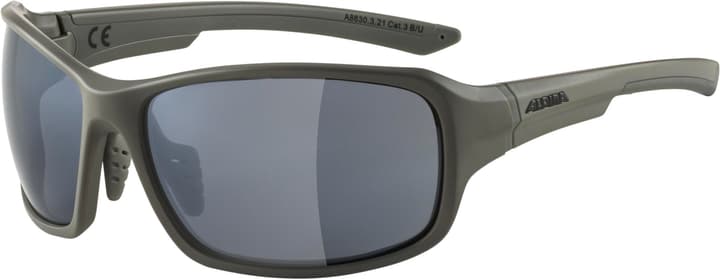 Alpina Lyron Sportbrille grau von Alpina