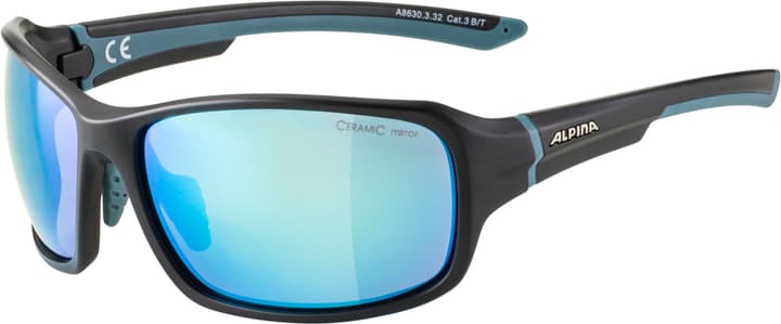 Alpina Lyron Sportbrille schwarz von Alpina