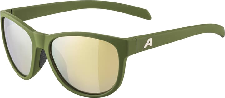 Alpina Nacan II Sportbrille olive von Alpina