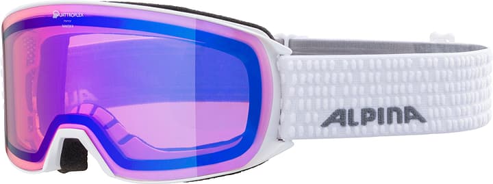 Alpina Nakiska Q Skibrille weiss von Alpina