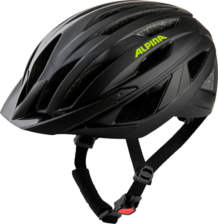 Alpina Parana Velohelm kohle von Alpina