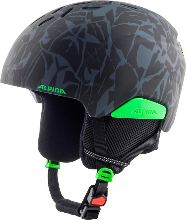 Alpina Pizi Skihelm schwarz von Alpina