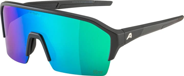 Alpina Ram HR Q-Lite Sportbrille kohle von Alpina