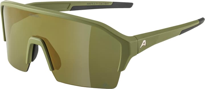 Alpina Ram HR Q-Lite Sportbrille moos von Alpina