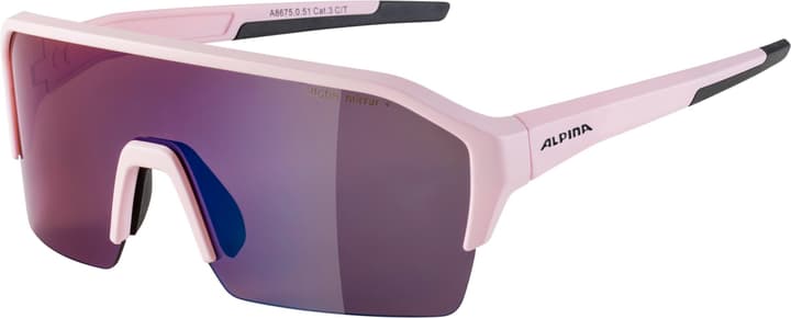 Alpina Ram HR Q-Lite Sportbrille rot von Alpina