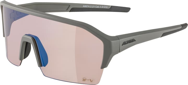 Alpina Ram HR Q-Lite V Sportbrille grau von Alpina