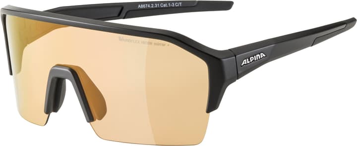 Alpina Ram HR Q-Lite V Sportbrille schwarz von Alpina