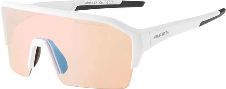 Alpina Ram HR Q-Lite V Sportbrille weiss von Alpina