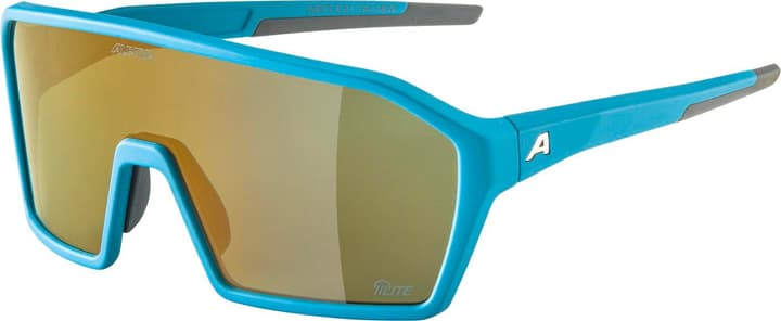 Alpina Ram Q-Lite Sportbrille azur von Alpina