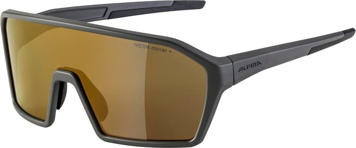 Alpina Ram Q-Lite Sportbrille grau von Alpina