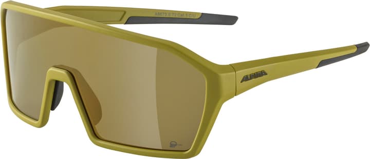 Alpina Ram Q-Lite Sportbrille grün von Alpina