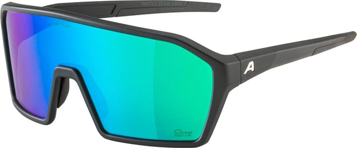 Alpina Ram Q-Lite Sportbrille royal von Alpina