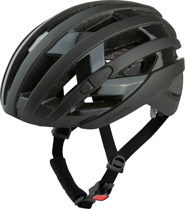 Alpina Ravel Velohelm schwarz von Alpina