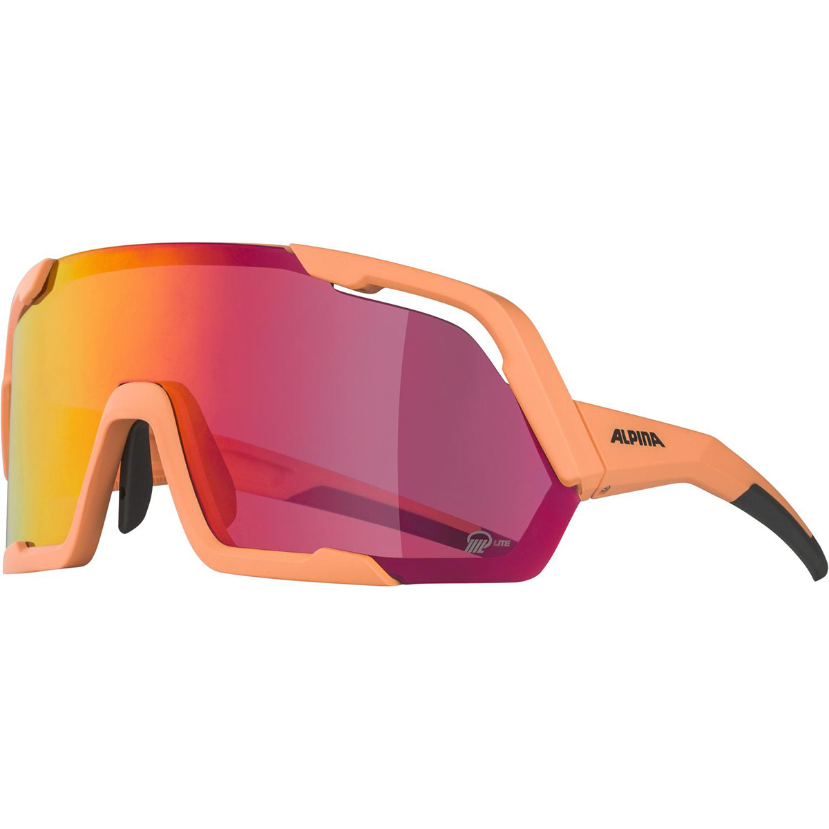 Alpina Rocket Q-Lite Sportbrille Alpina Rocket Q-Lite Sportbrille von Alpina