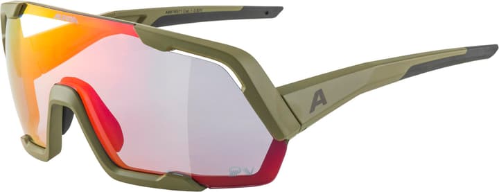 Alpina Rocket QV Sportbrille khaki von Alpina