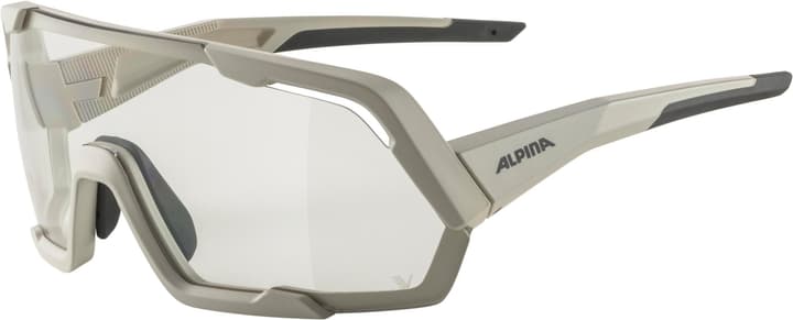 Alpina Rocket V Sportbrille grau von Alpina