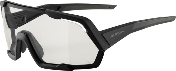 Alpina Rocket V Sportbrille schwarz von Alpina