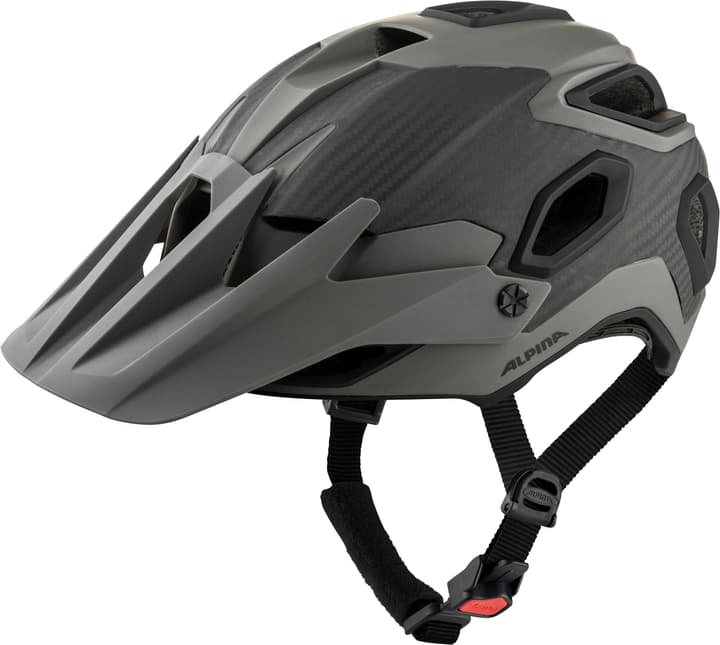 Alpina Rootage Velohelm grau von Alpina