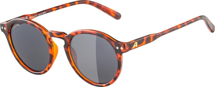 Alpina Sneek Sportbrille dunkelbraun von Alpina