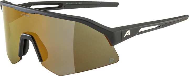 Alpina Sonic HR Q (Pol) Sportbrille schwarz von Alpina