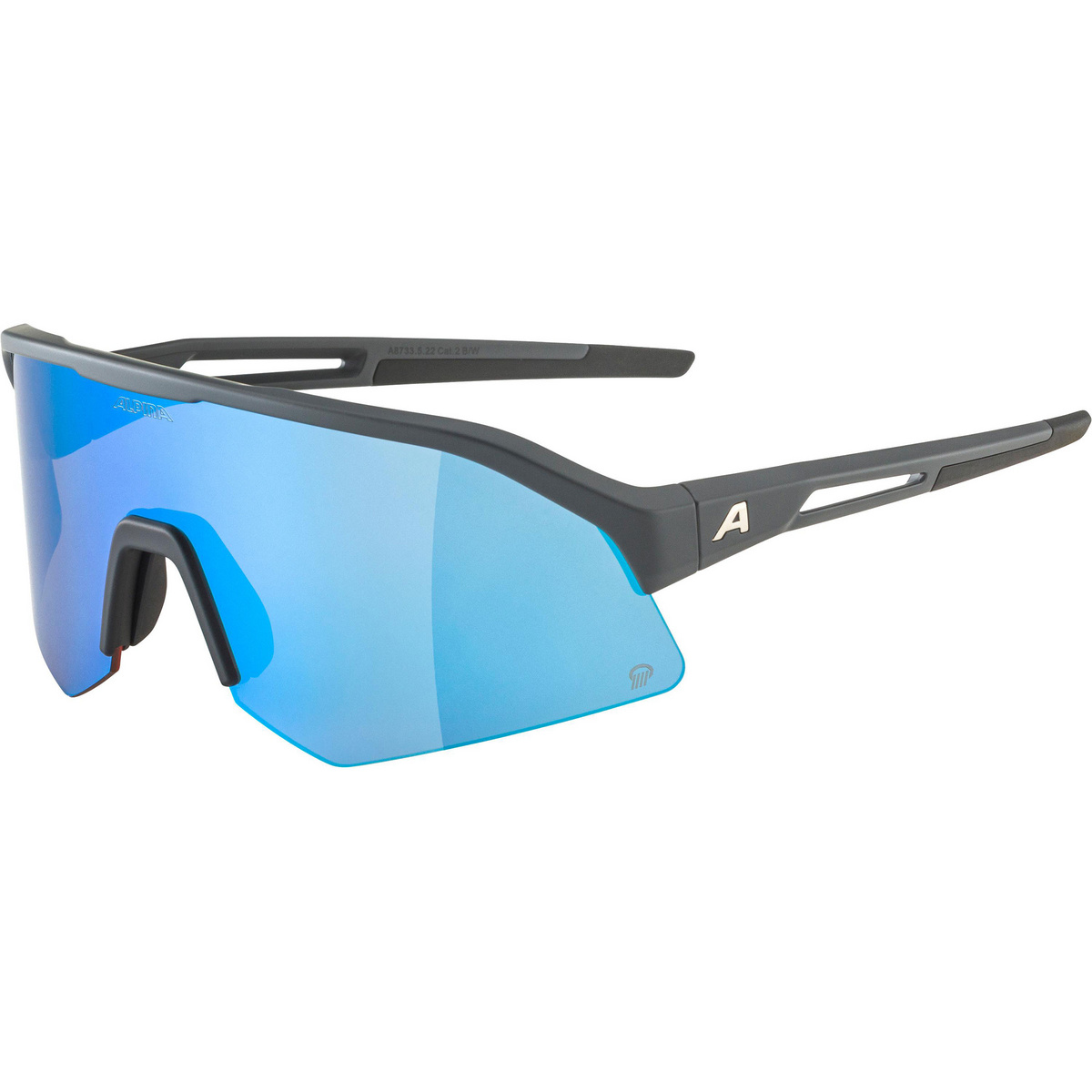 Alpina Sonic HR Q 2 Sportbrille von Alpina