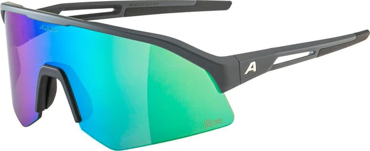 Alpina Sonic HR Q-Lite Sportbrille grau von Alpina