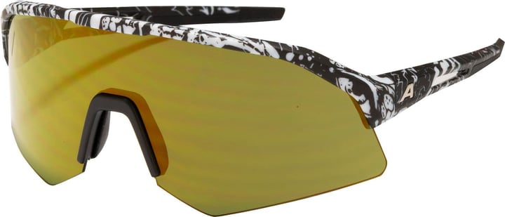 Alpina Sonic HR Q-Lite Sportbrille titan von Alpina