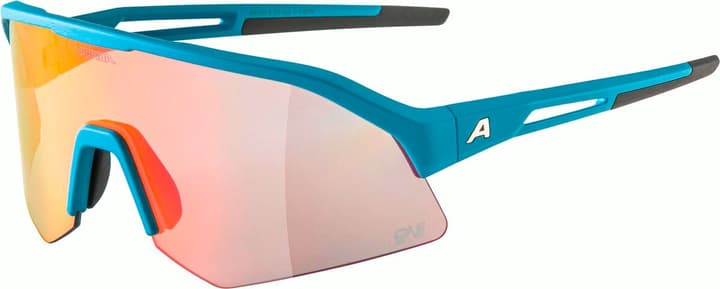 Alpina Sonic HR QV Sportbrille hellblau von Alpina